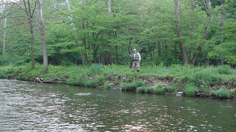 Steve on the Bank at Cross Fork.JPG
